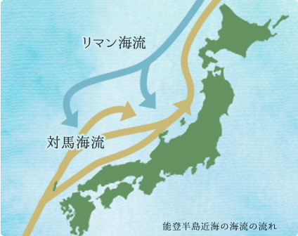 日本周辺の海流と海洋